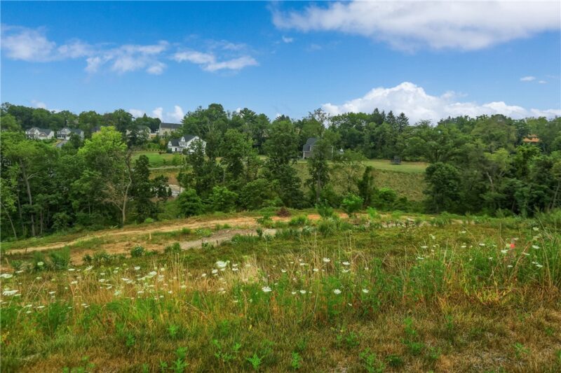 Lot 7 Beaver Grade Road — photo 7