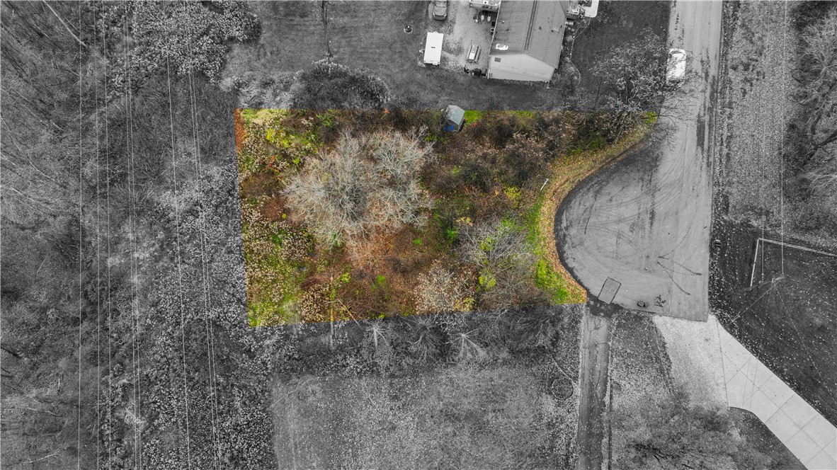 157 BUSS ROAD — photo 1