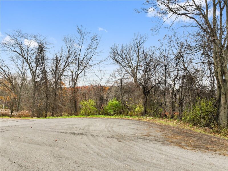 157 BUSS ROAD — photo 2