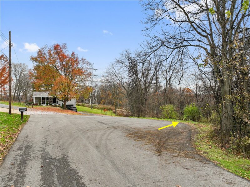 157 BUSS ROAD — photo 6