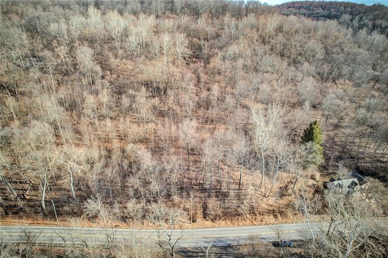 000 River Rd — photo 5