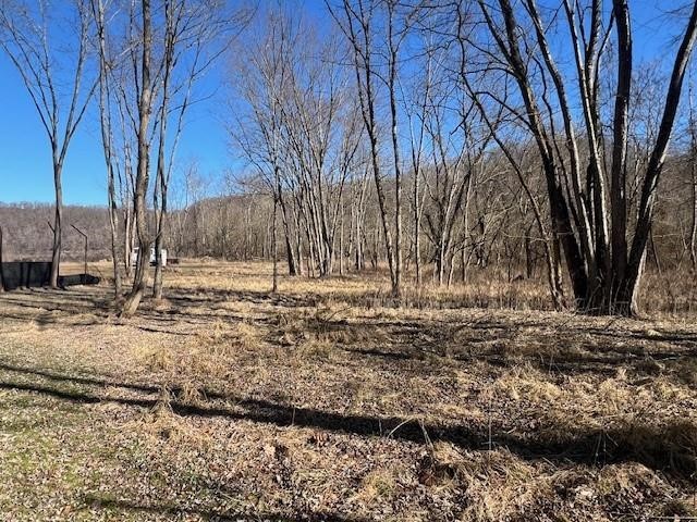 112 & 116 Lower River Road — photo 8