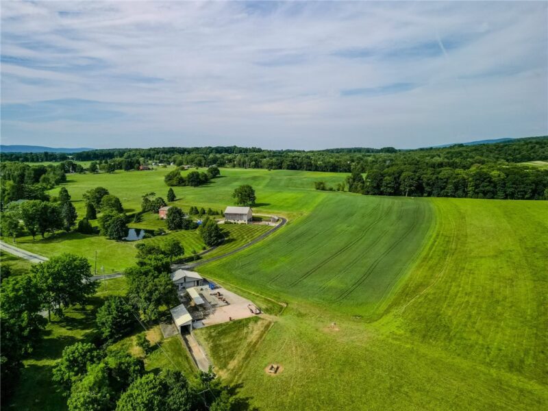 440 Owl Hollow Road — photo 6