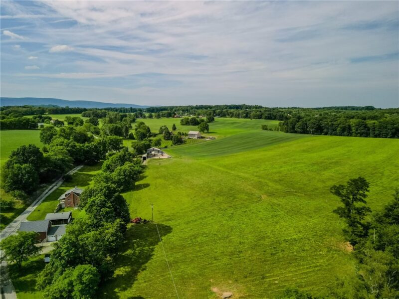 440 Owl Hollow Road — photo 8