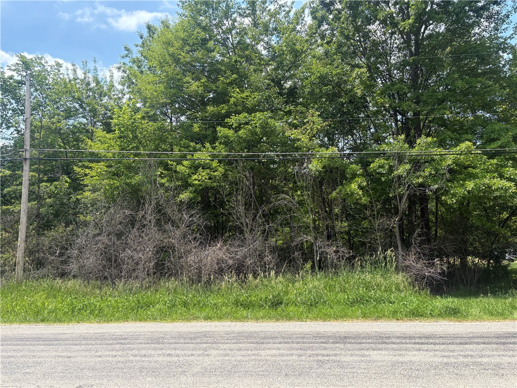 9.22 ACRES SPENCER RD — photo 1