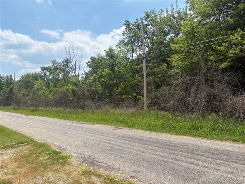 9.22 ACRES SPENCER RD — photo 2