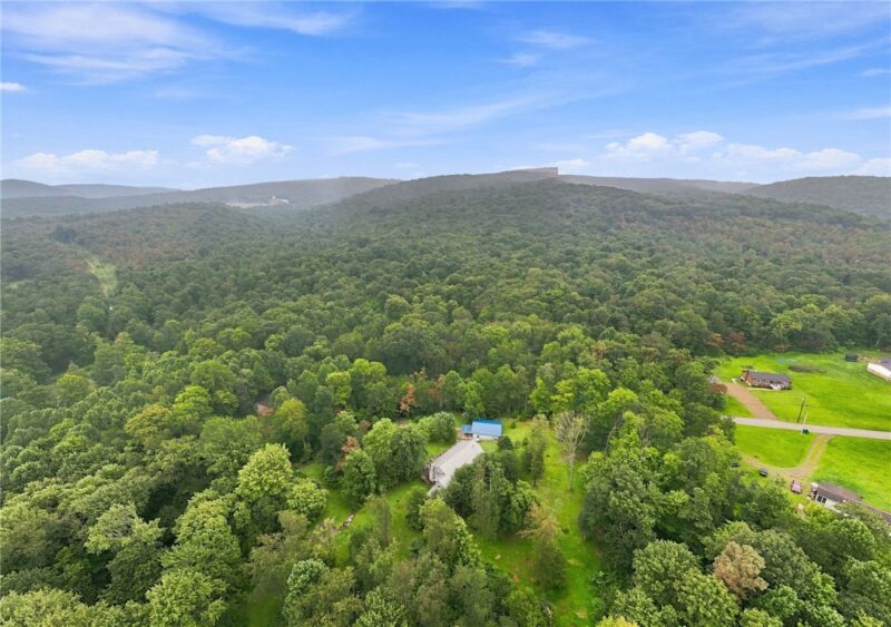601 Tannery Hollow Road — photo 7