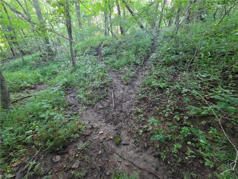 0 Darr Rd — photo 2
