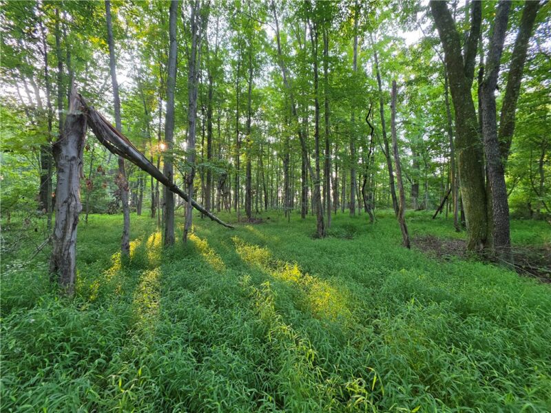 0 Darr Rd — photo 4