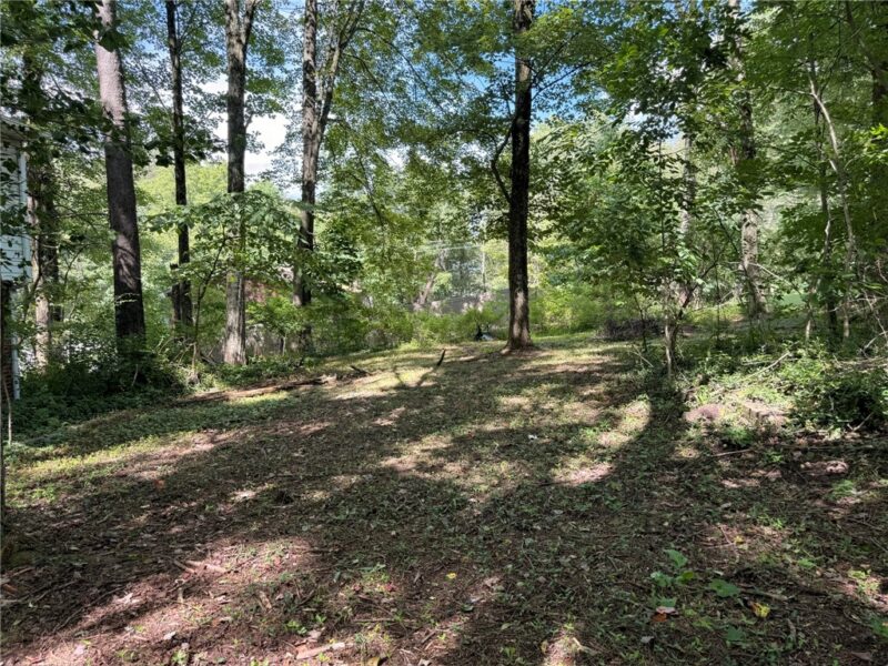 342 Overbrook Rd — photo 5
