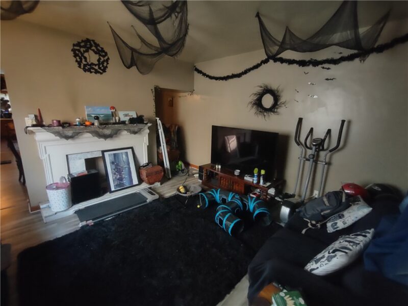 8 Maitland St — photo 4
