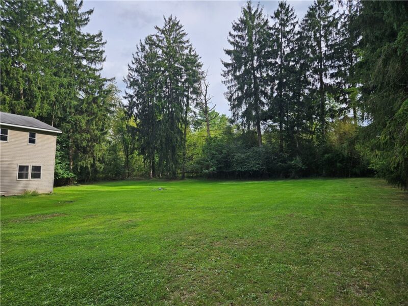 3605 Cedar Ridge Rd — photo 6
