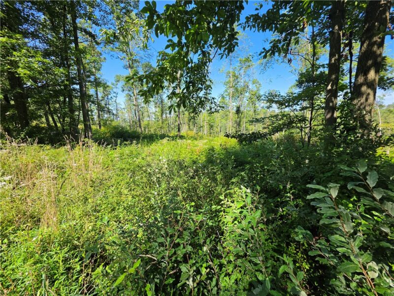 0 Christie Rd — photo 7