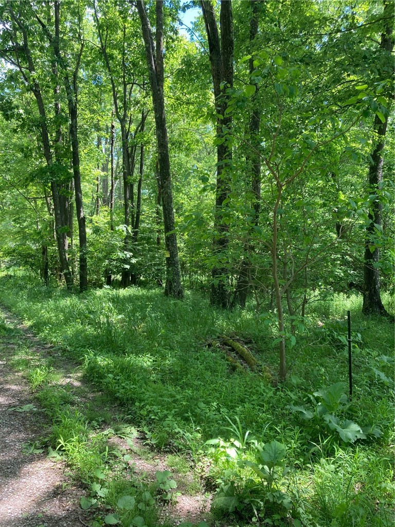 1215 Sandy Run Rd — photo 2