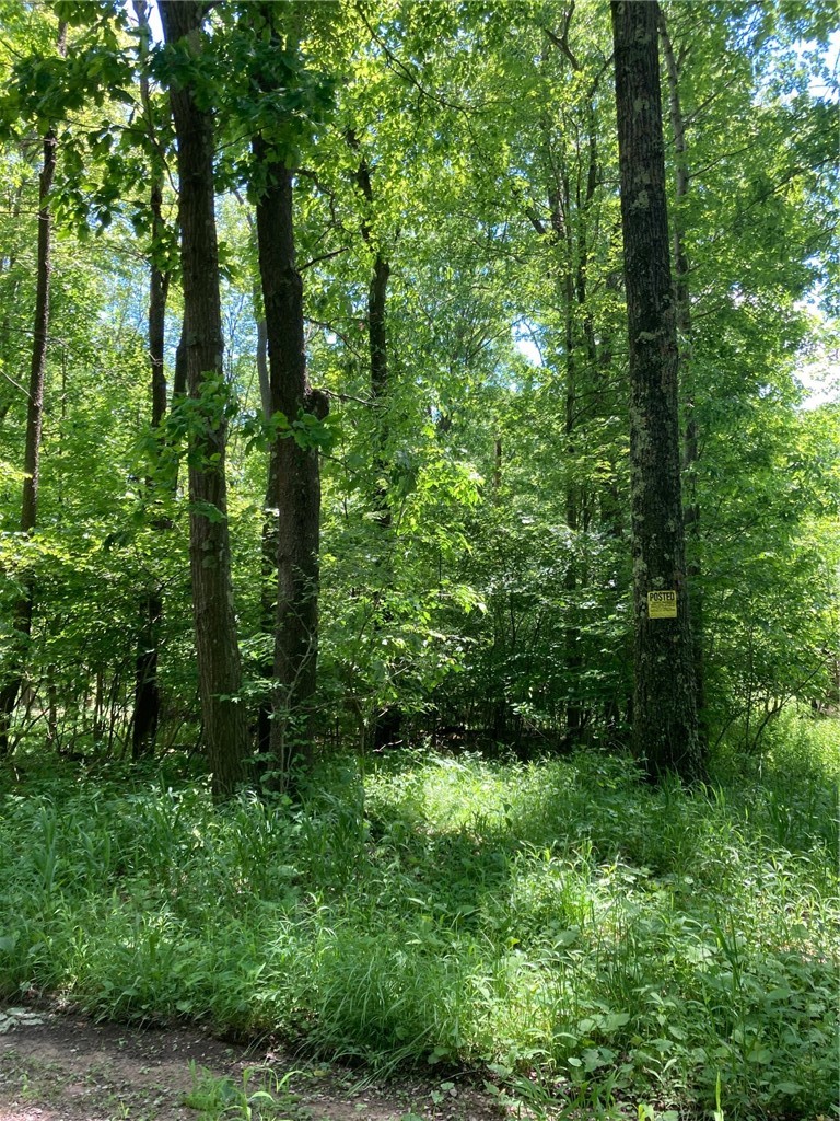 1215 Sandy Run Rd — photo 3