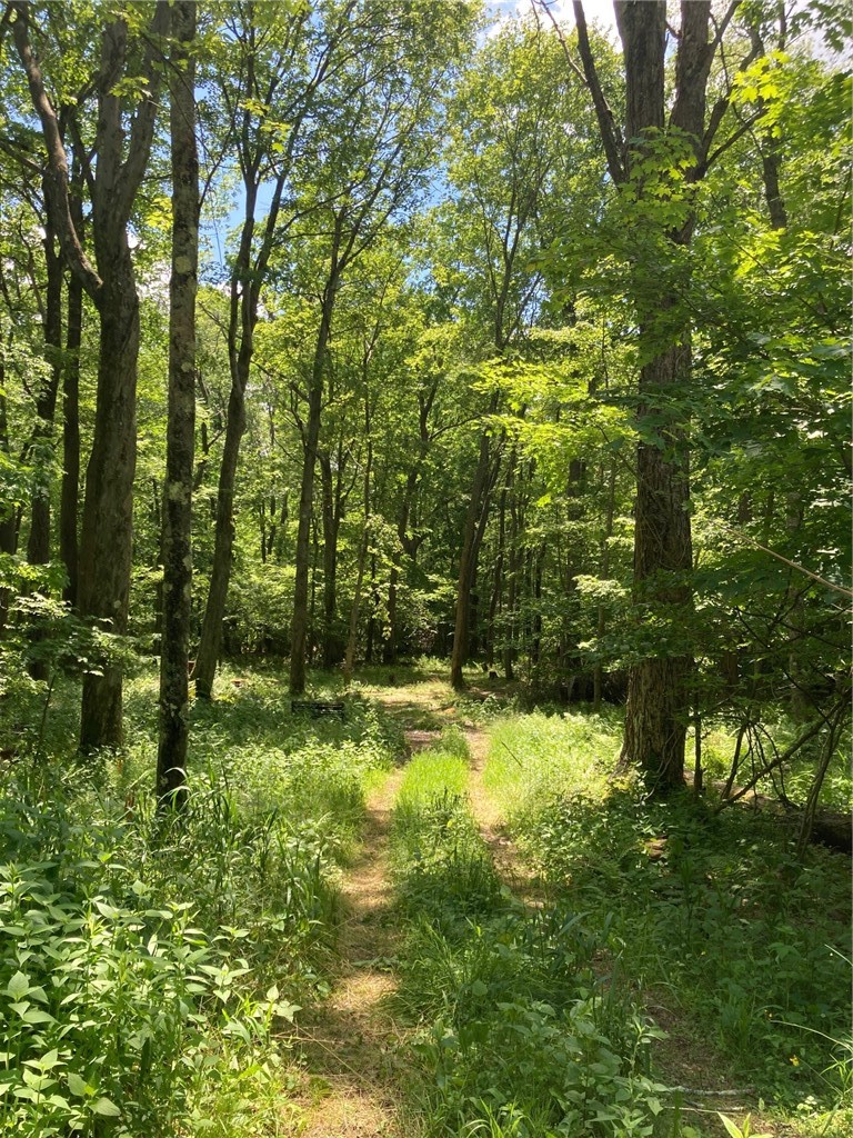 1215 Sandy Run Rd — photo 4