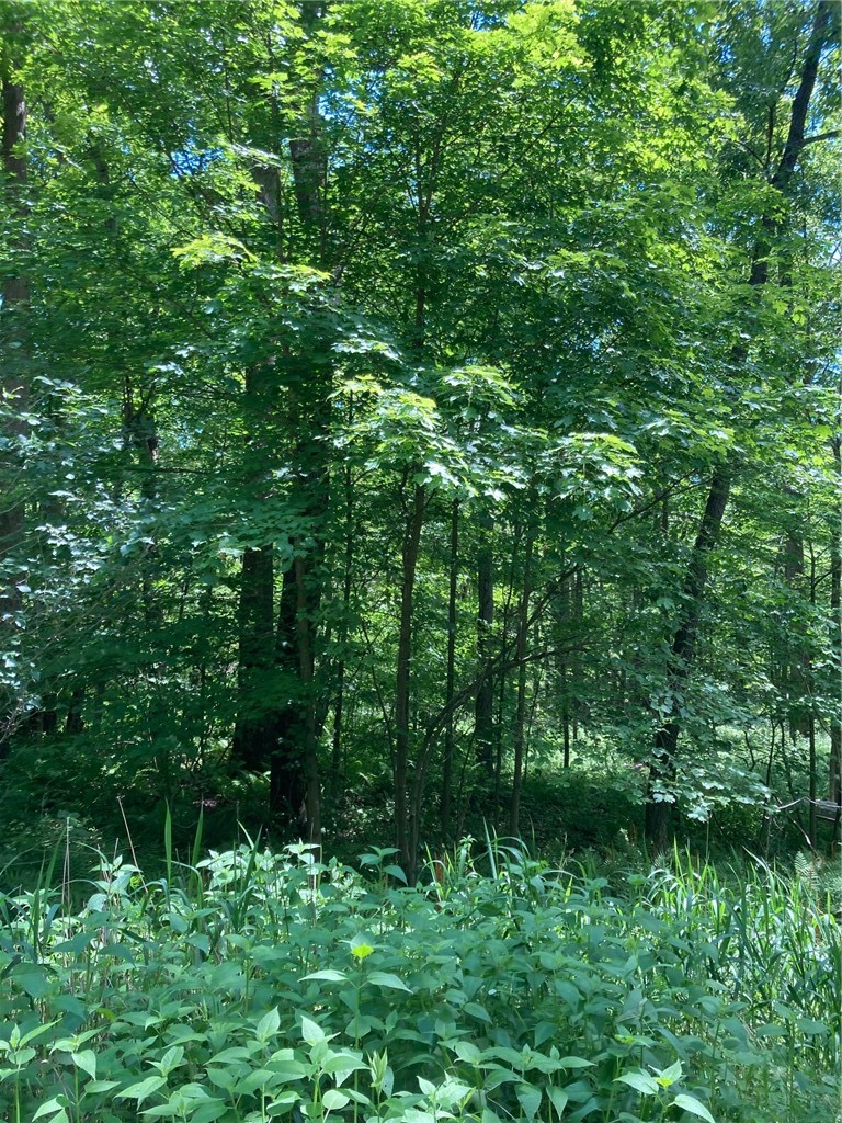 1215 Sandy Run Rd — photo 5