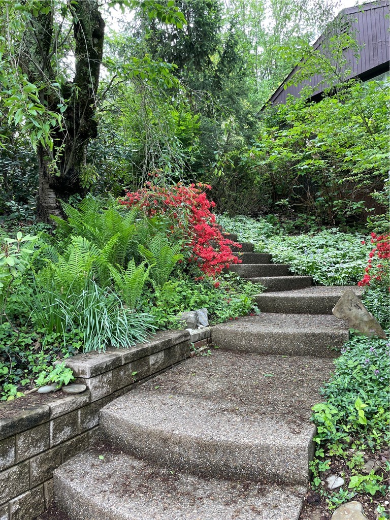 44 Brucewood Drive — photo 4