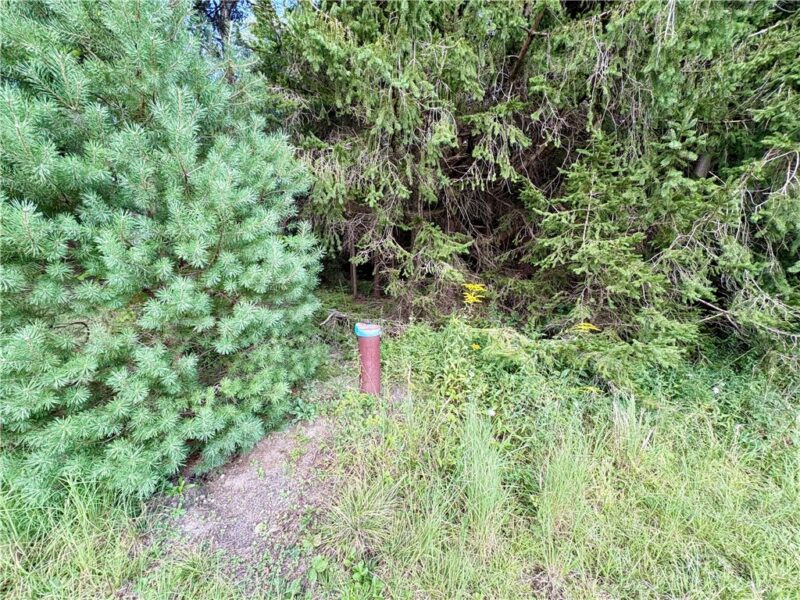 138 Dusty Ln — photo 6