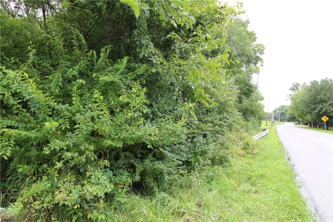 0 Maple Dr. — photo 1