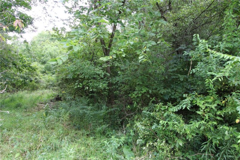 0 Maple Dr. — photo 4