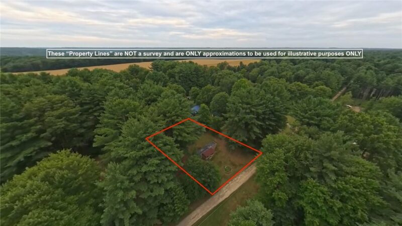 310 Green Oak Ln — photo 5