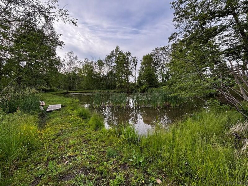 0 Ridge Rd — photo 2