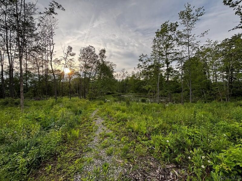 0 Ridge Rd — photo 4