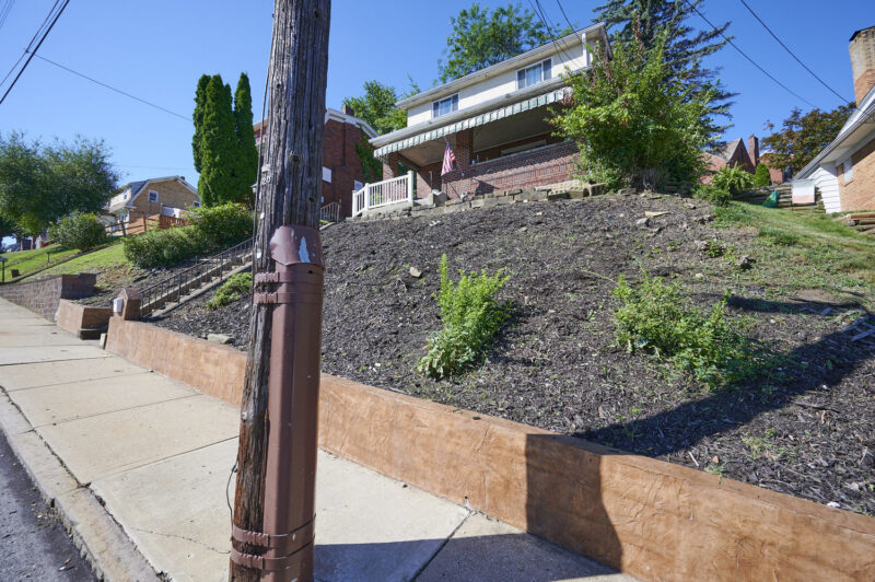 3716 Woodrow AVENUE — photo 3