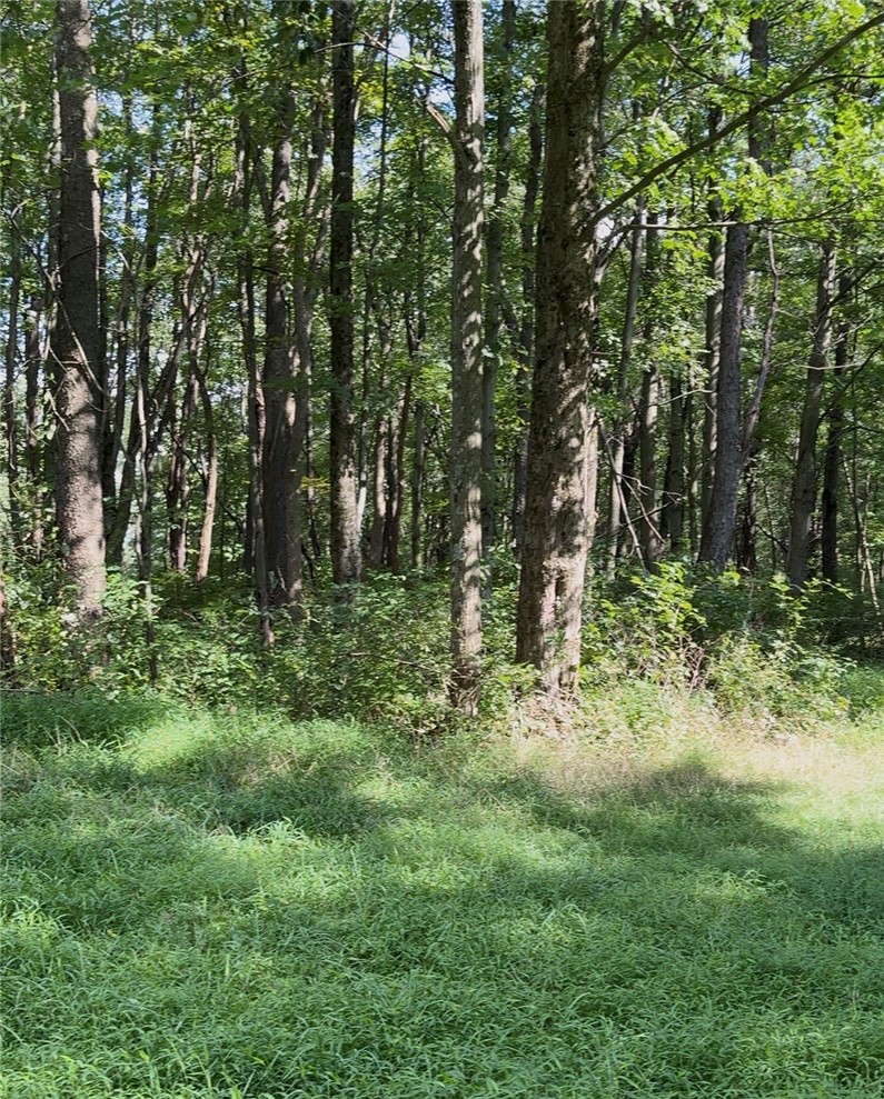 0 Dickerson Run Rd — photo 4