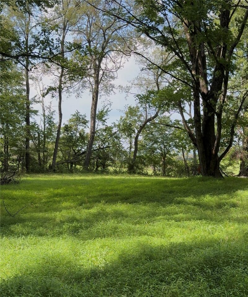 0 Dickerson Run Rd — photo 7