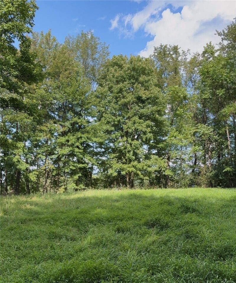 0 Dickerson Run Rd — photo 8