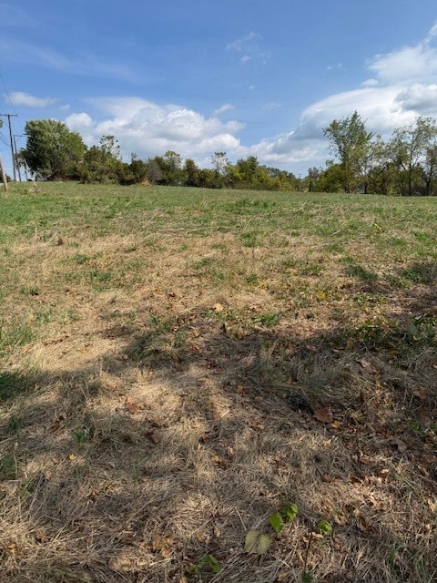 0 McGovern — photo 2