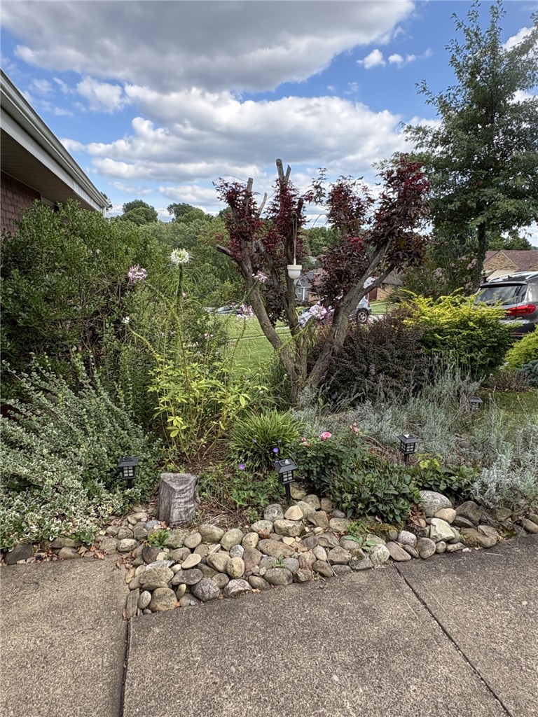 1357 Craigview Drive — photo 3