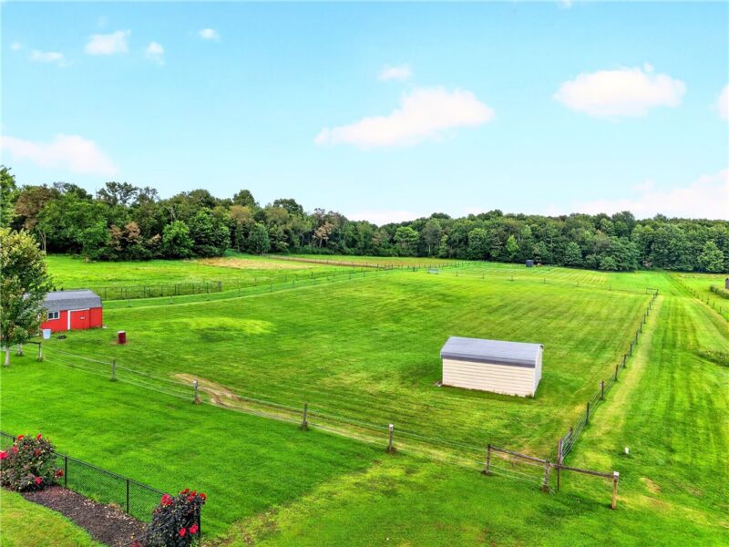 206 Race Track Rd — photo 8