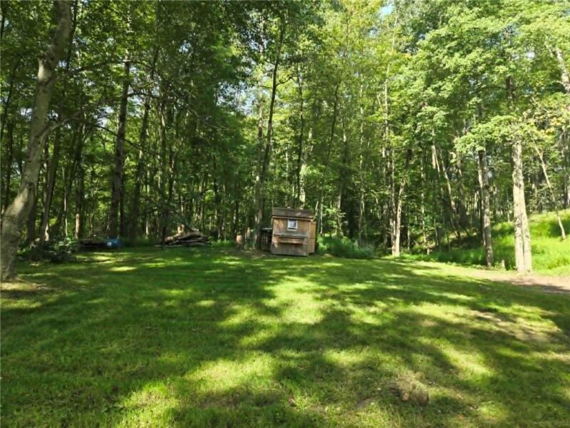 116 Hickory Rd — photo 4