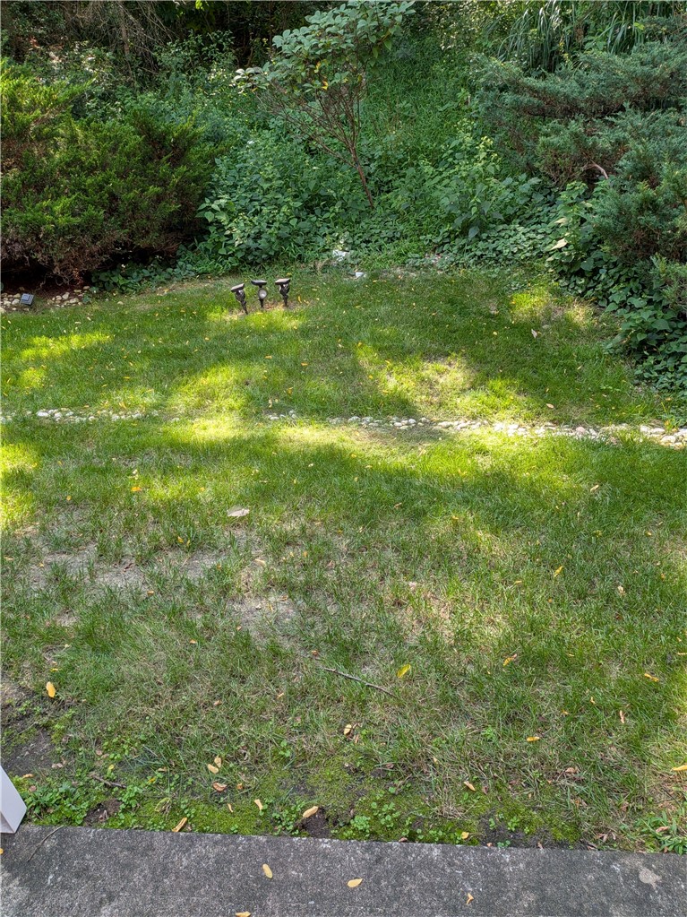 313 Tyler Dr. — photo 5