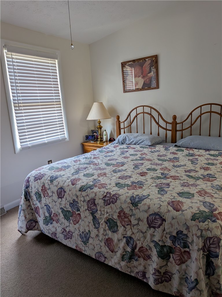 313 Tyler Dr. — photo 8