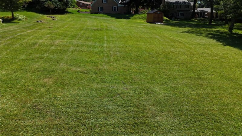 901 White Farm Rd — photo 2