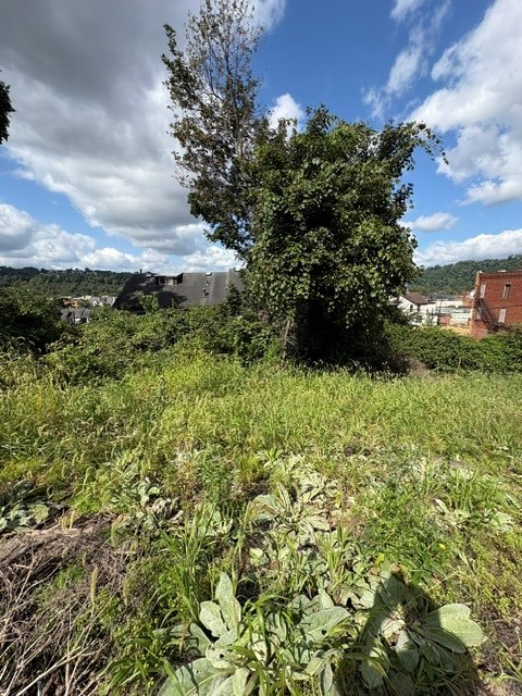 729, 731, 735 Jenny Lind Street — photo 8