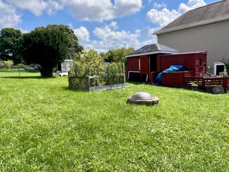 179 Lincoln AVENUE — photo 3