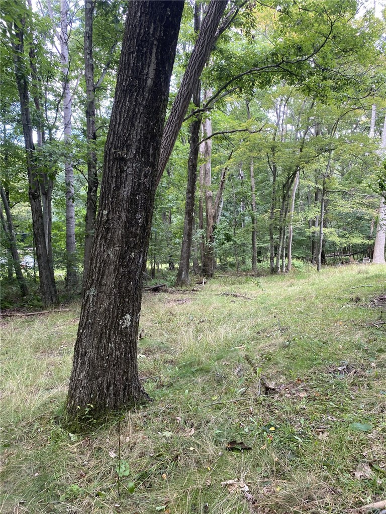 314 Upper Sandy Run Rd — photo 5