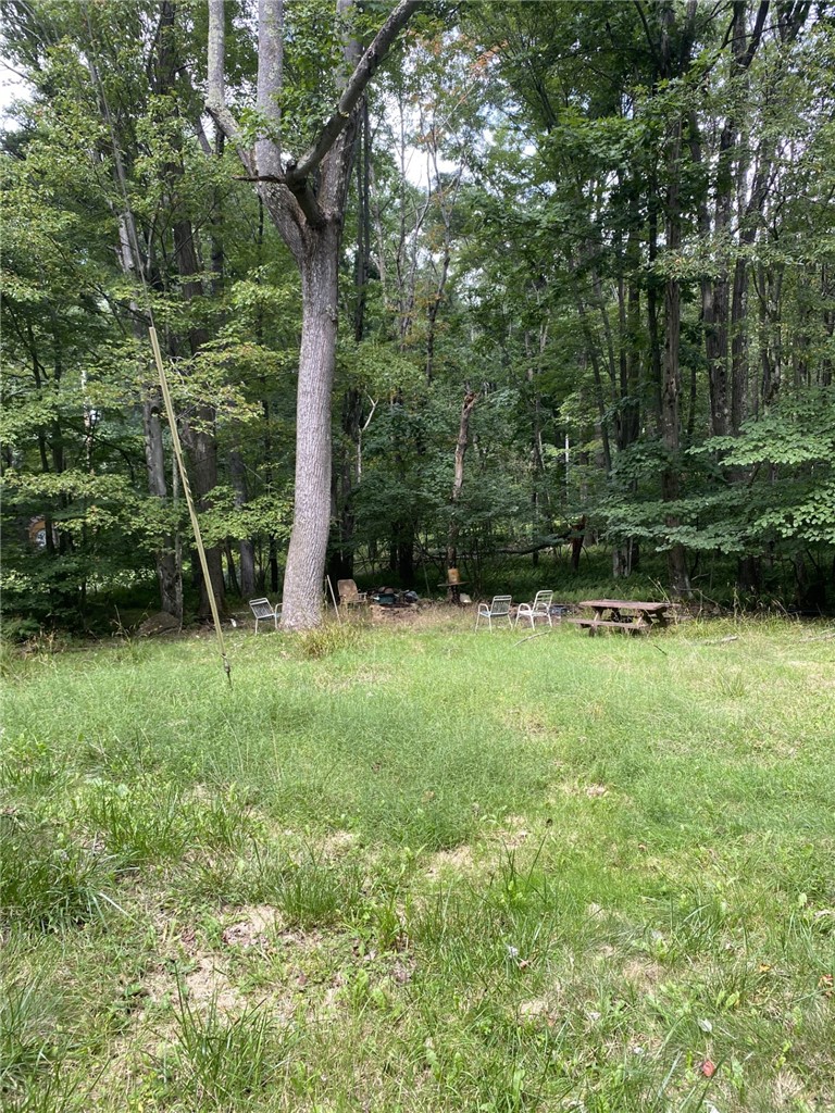 314 Upper Sandy Run Rd — photo 6