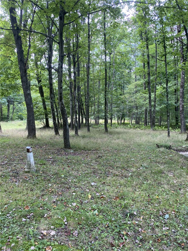 314 Upper Sandy Run Rd — photo 7