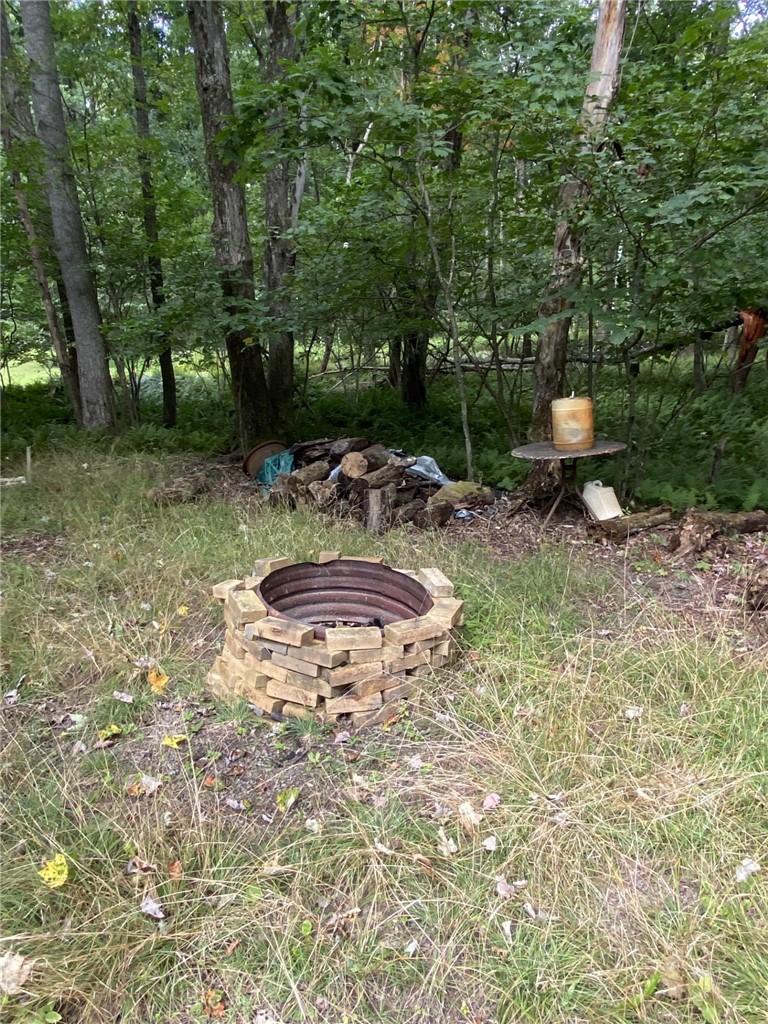 314 Upper Sandy Run Rd — photo 8