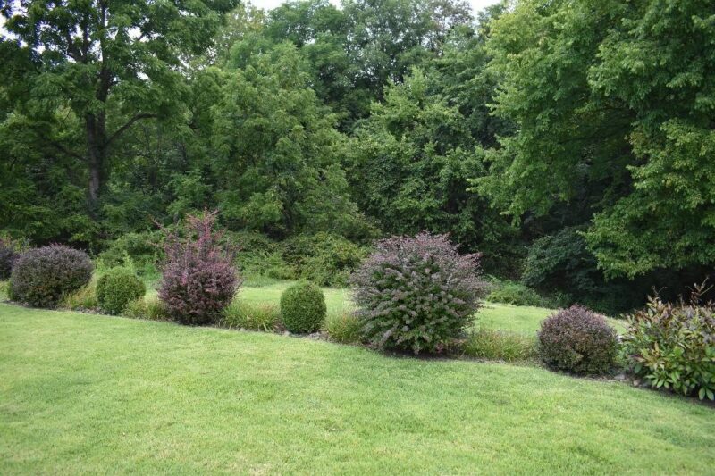 706 Lechner Ln — photo 3