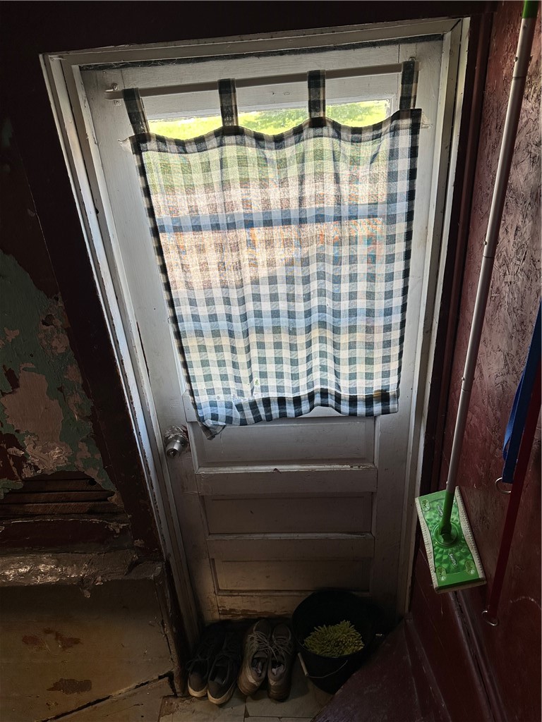 321 Monongahela Ave — photo 4