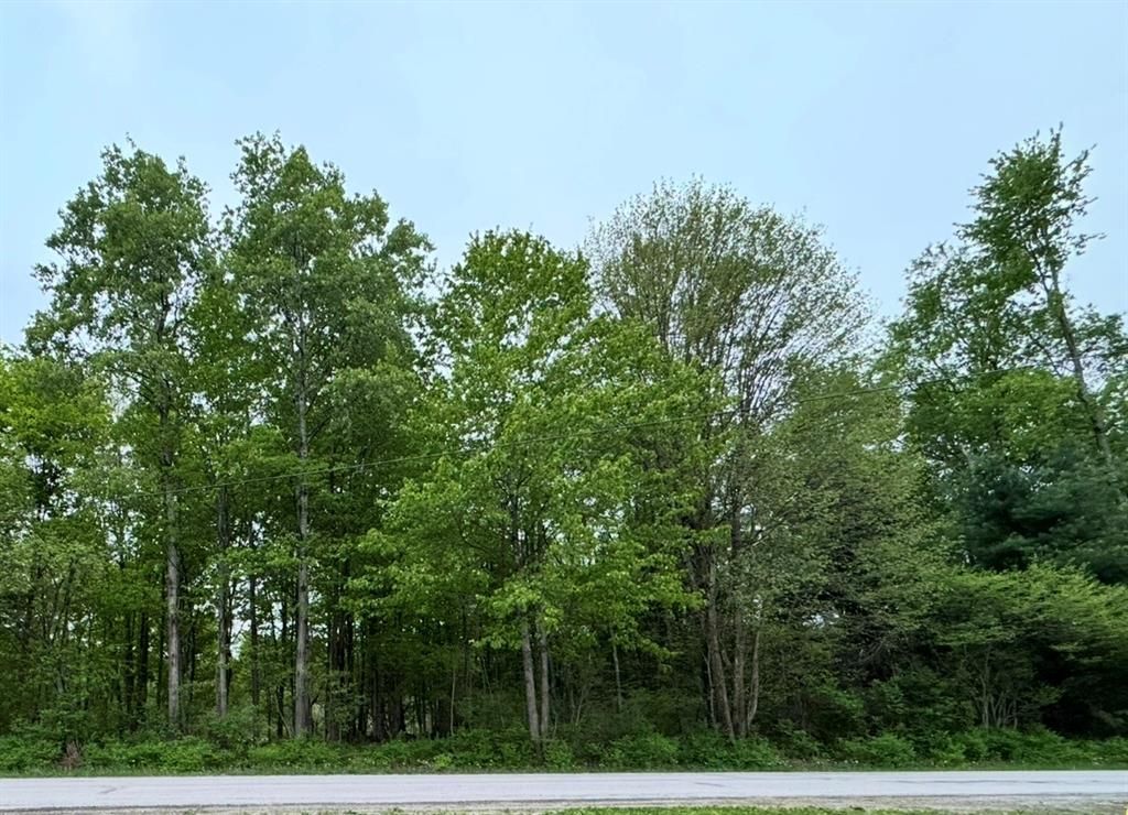 Lot 9-15 & 62-72 Elmwood Ave — photo 1