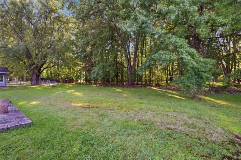 915 Clarksville Rd — photo 5