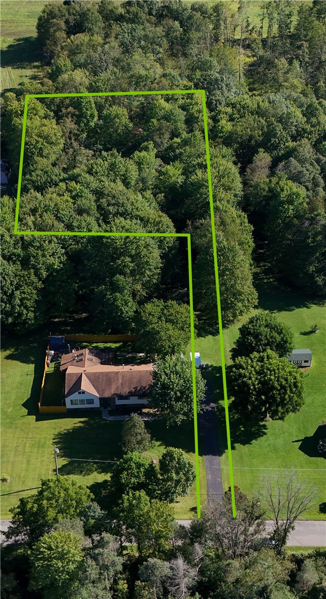 413 Daugherty Road — photo 3
